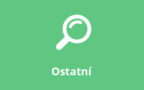 Ikona ostatní - lupa